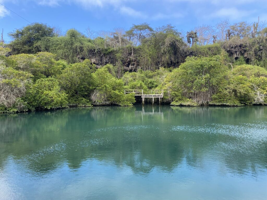 Laguna Las Ninfas