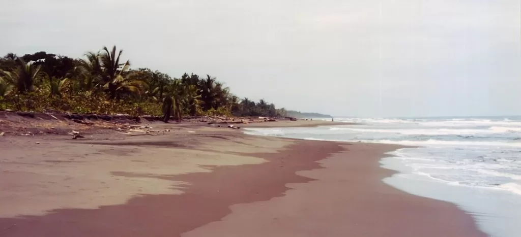 Explorando Puerto Viejo de Talamanca