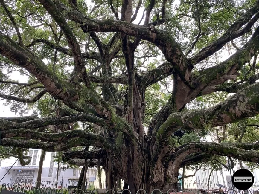 Praça XV de Novembro