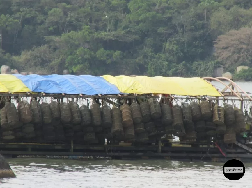 Sul de Florianópolis 